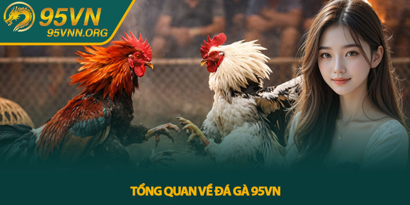Tổng quan về Đá gà 95VN 